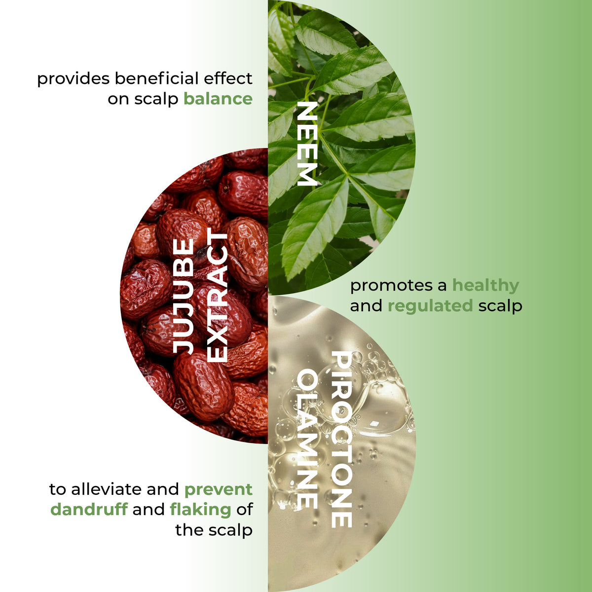 Neem Lotion Against Dandruff 